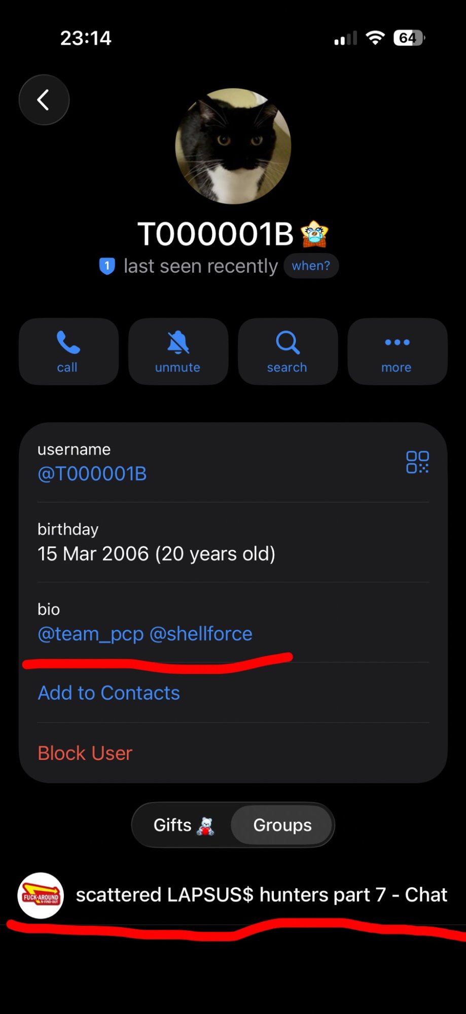 Telegram profile of T00001B showing birthday 15 March 2006, bio linking @team_pcp and @shellforce, and membership of scattered LAPSUS$ hunters chat