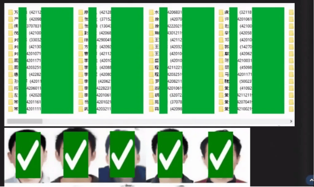 WoyouLuma database description and preview